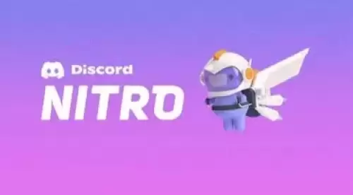 3 Aylık +2 Boostlu Discord Nitro