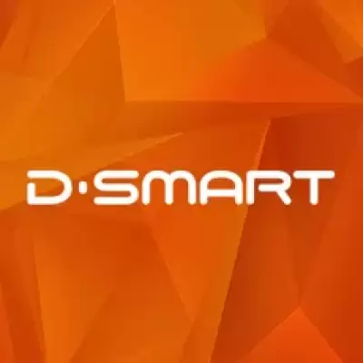 D Smart Go Mega 6 Aylık